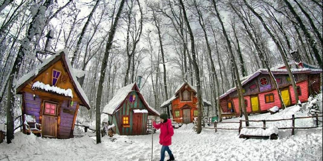 Avrupa’nın en büyüğü Türkiye’de! Kocaeli’nin Ormanya’sı beyaza büründü, duru haliyle ziyaretçilerini ağırlıyor 1